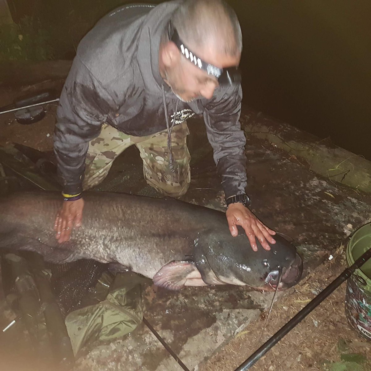 bellballcutter1's tweet photo. Customer John Doyle with a new 61lb pb catfish.  

https://t.co/Eafoyk1Sbl
https://t.co/JbQRgAdsmu

#catfishing #catfish #fishing #bellballcutter https://t.co/gb2pj9YBOg