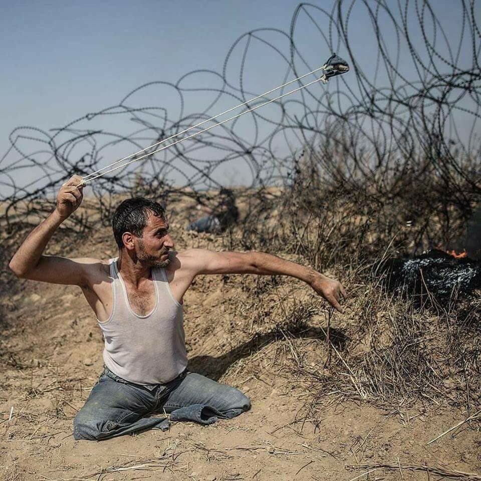 mutopaloglu's tweet photo. #FreePalestine https://t.co/Zgx35ifyvb