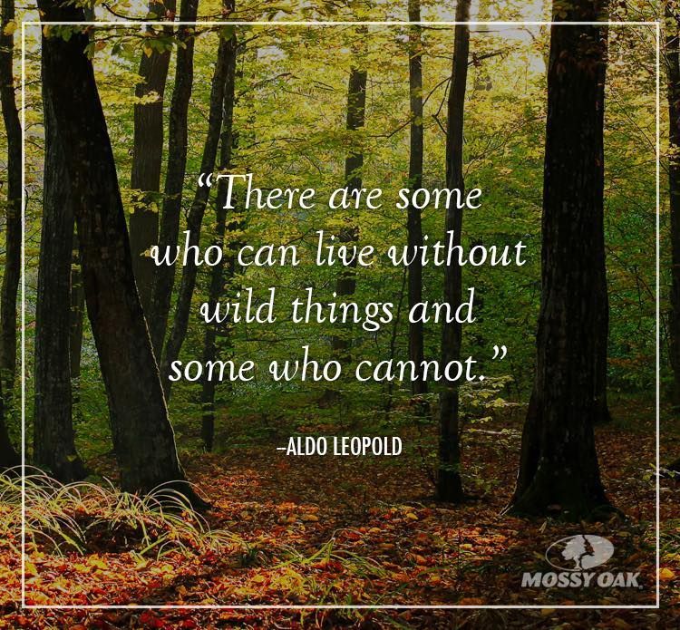 deerassociation's tweet photo. "There are some who can live without wild things and some who cannot." - Aldo Leopold https://t.co/40rSnSgy9p