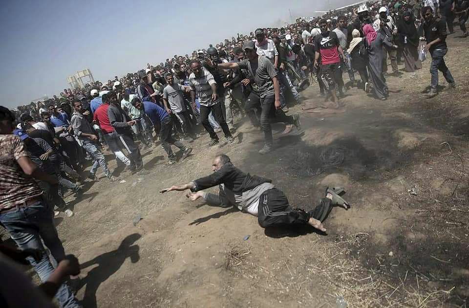 awaiskk77's tweet photo. #Palestine
Where is the #UnitedNation??
Where is #MuslimCountries??
Where is #IslamicMilitary??
Is any body hear me... Stop this violence,
#WakeUpMuslims
#Gaza
#GazaUnderAttack
#میں_تو_بولوں_گا https://t.co/jvKMqaGu9N