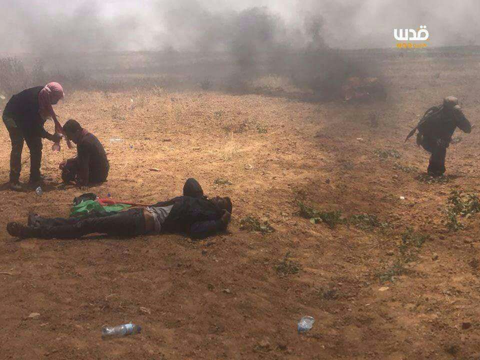 awaiskk77's tweet photo. #Palestine
Where is the #UnitedNation??
Where is #MuslimCountries??
Where is #IslamicMilitary??
Is any body hear me... Stop this violence,
#WakeUpMuslims
#Gaza
#GazaUnderAttack
#میں_تو_بولوں_گا https://t.co/jvKMqaGu9N