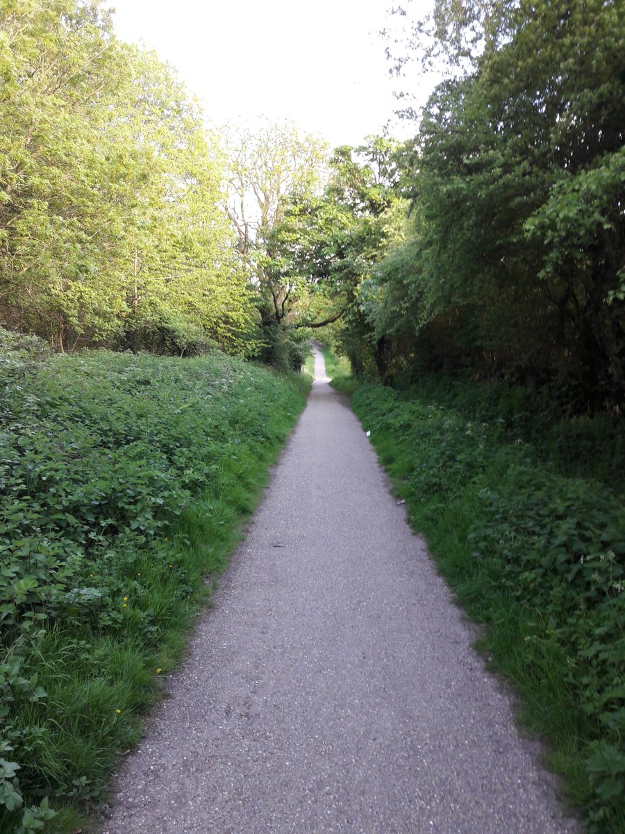 SummertimeWalk's tweet photo. Just a few shots from our beautiful 3 mile family walk around the Telford town park.

All walkers receive a Summertime Walk medal and a goody bag.

Sign up here
https://t.co/Le62BaGQq2 https://t.co/eItwzgzuG4