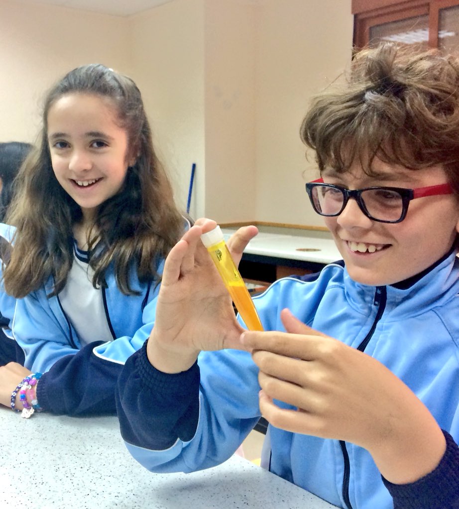 MilagrosaTotana's tweet photo. Hoy nuestros chicos y chicas de #ScienceinLab han estado analizando y clasificando mezclas en @MilagrosaTotana #lunescientíficos #bilingualeducation 
@BEDAspain @MurciaBeda #tenyearswithus https://t.co/ihgeoh9TFT