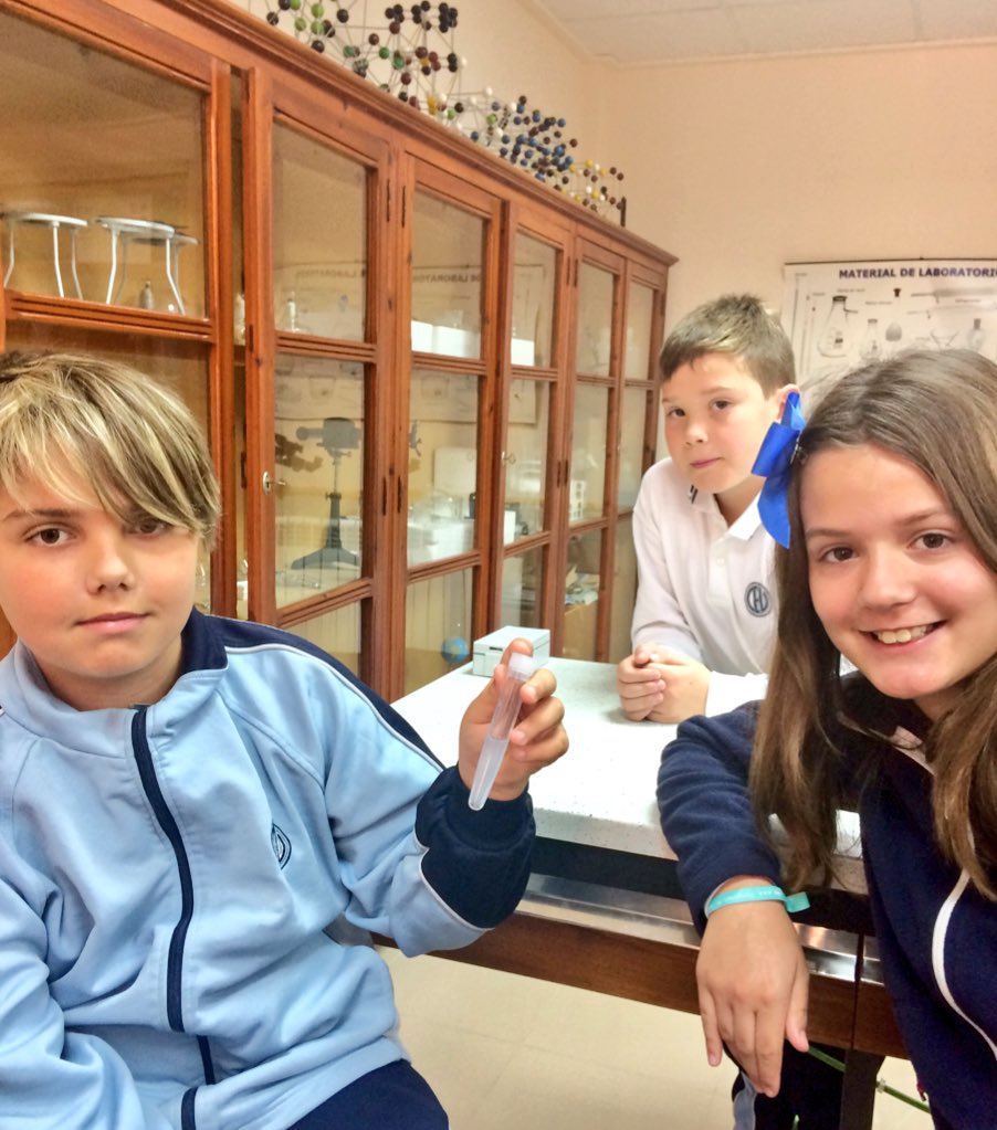 MilagrosaTotana's tweet photo. Hoy nuestros chicos y chicas de #ScienceinLab han estado analizando y clasificando mezclas en @MilagrosaTotana #lunescientíficos #bilingualeducation 
@BEDAspain @MurciaBeda #tenyearswithus https://t.co/ihgeoh9TFT