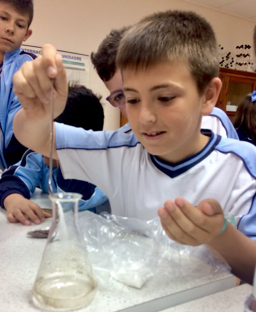 MilagrosaTotana's tweet photo. Hoy nuestros chicos y chicas de #ScienceinLab han estado analizando y clasificando mezclas en @MilagrosaTotana #lunescientíficos #bilingualeducation 
@BEDAspain @MurciaBeda #tenyearswithus https://t.co/ihgeoh9TFT