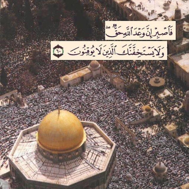 يا الله وكلنا ثقة وأملا في وعدك ♥️

يا الله إن مسرى نبيك جريحه 
يا الله طهرها من دنسهم
يا الله طال ليل الظالمين متى الهلاك💔

 #القدس_عاصمه_فلسطين_الابديه