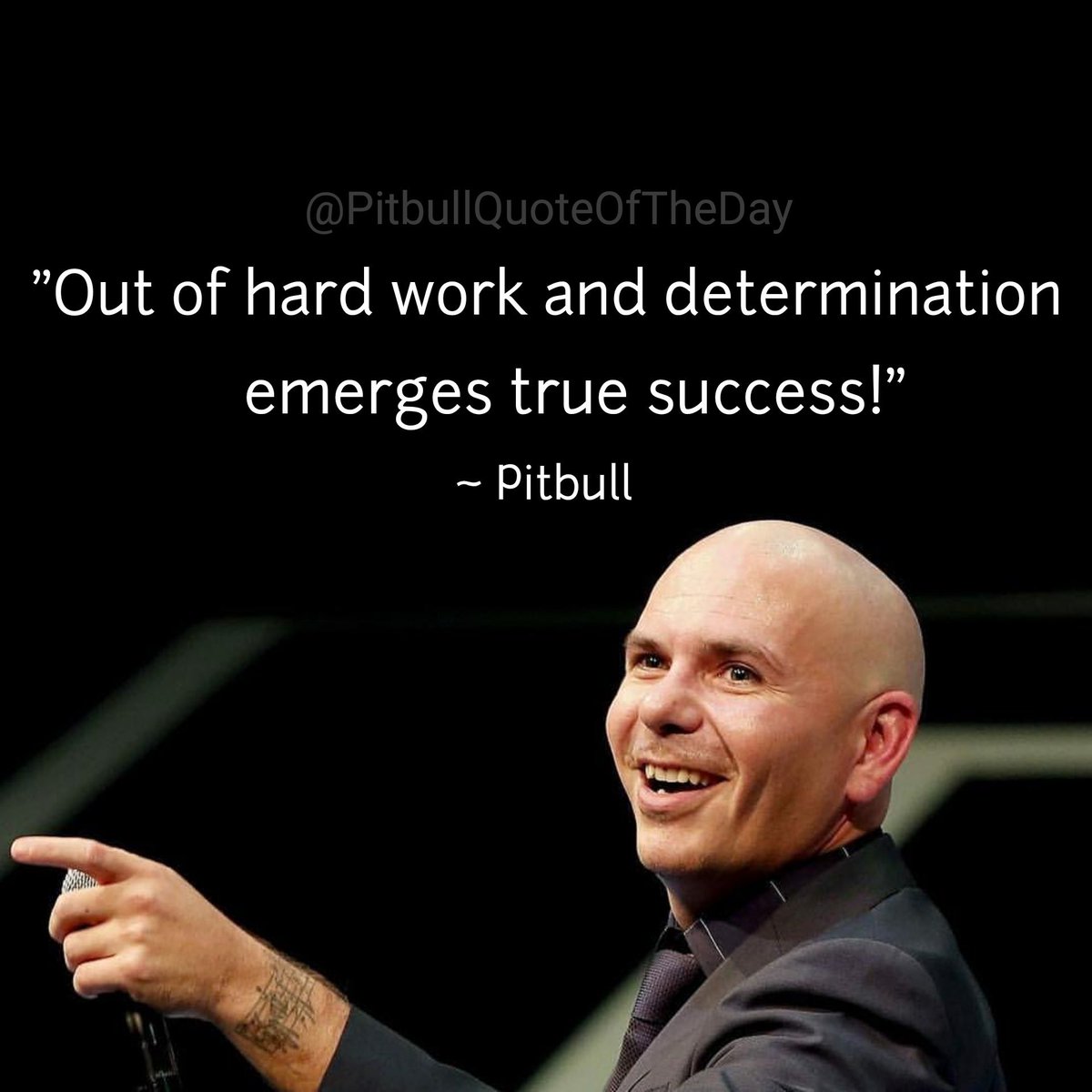 CarlaIvey's tweet photo. #MondayMotivation "Out of hard work and determination emerges true success." ~ @pitbull #PitbullQuoteOfTheDay https://t.co/j2zyA4Gz2x