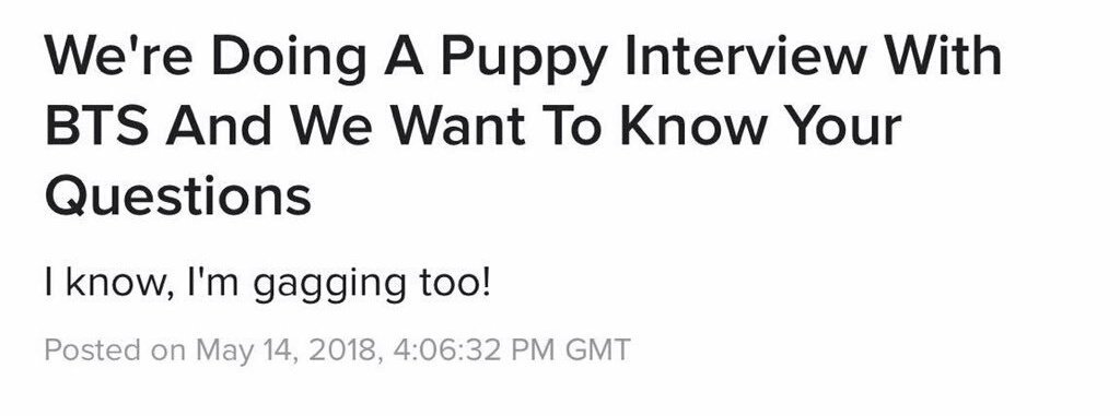 allnightsope's tweet photo. BTS ARE GOING TO BE INTERVIEWED WITH PUPPIES BY BUZZFEED I'M-
#IVoteBTSBBMAs @BTS_twt https://t.co/vxgScleCdc