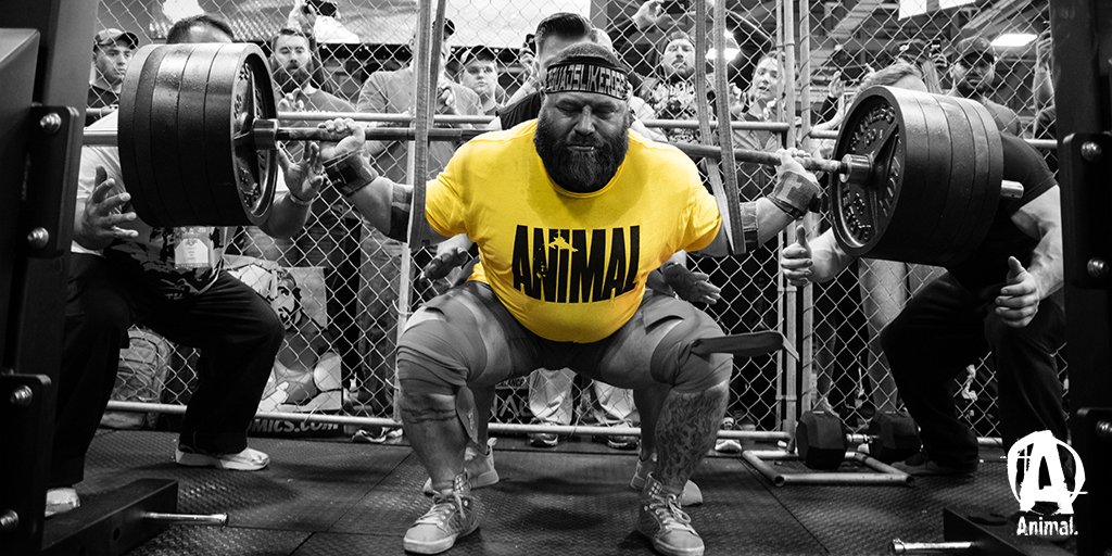 Precies Onophoudelijk Desillusie animal cage powerlifting deaflifting