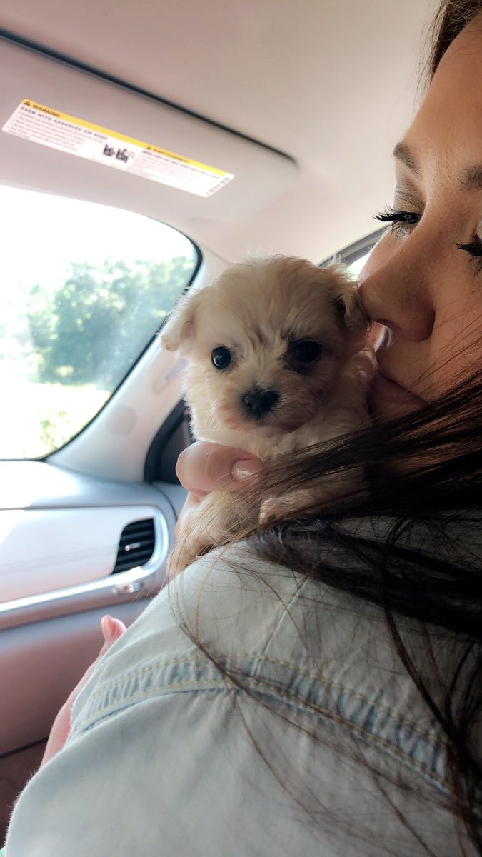 abbygentry32's tweet photo. just slightly obsessed w my new baby💓 https://t.co/HXRfFAuOq6