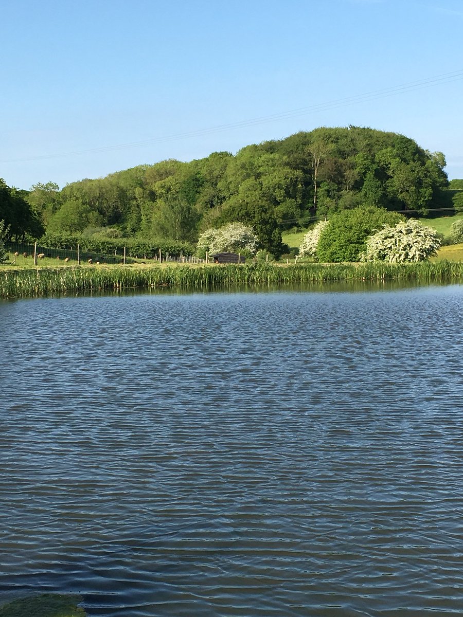 St Crispins ‘working with wildlife and nature’ is about learning to workwild on the farm joining the campaign #30DaysWild action.wildlifetrusts.org/page/20877/pet…