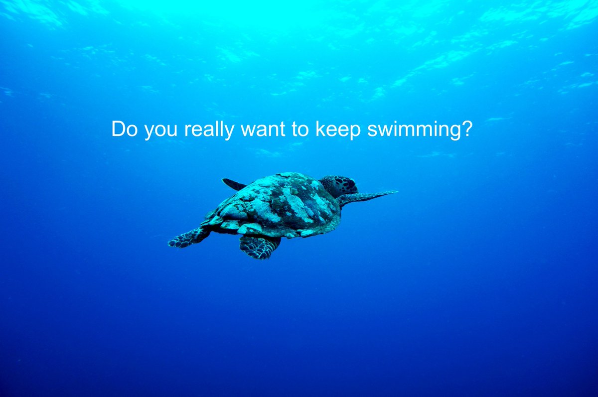 Sometimes in business, its right to stop and take stock. I believe that every problem can be fixed in an hour. No need for consultants, SWOT analysis..just do it like we were working together. and it will only cost you £50.
pos.li/29ojb1