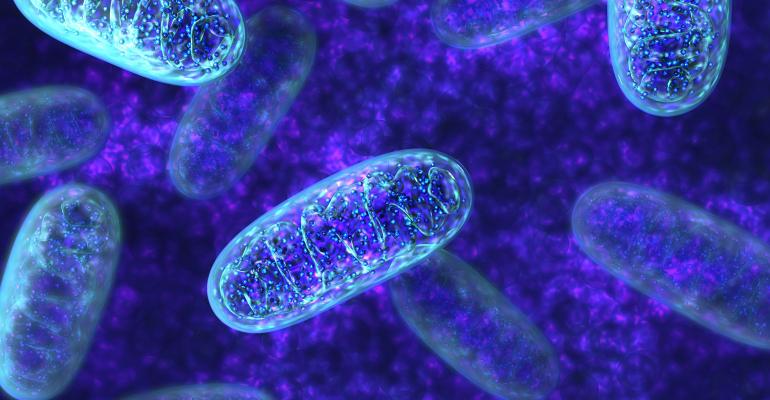 RBlaylockMD's tweet photo. Carnitines Protect Mitochondria
https://t.co/LHxfdAPdTQ https://t.co/06xRrGl0dz