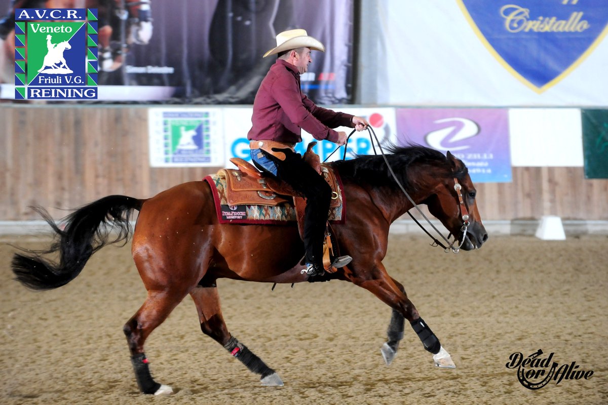 AvcrReining's tweet photo. #Champion #IntOpen #Open #SecondaTappa #AVCR 2018 ZILLI MAURIZIO sul suo JABA ROAK con score 72,5 https://t.co/HJFzndLoTu