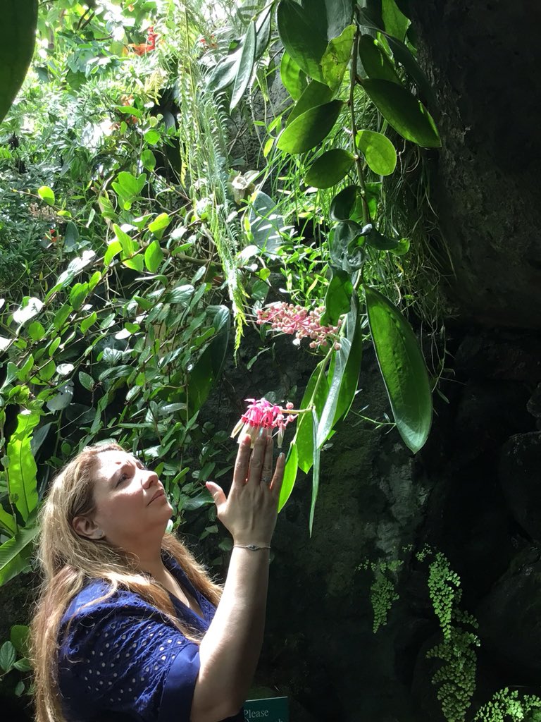 PCAtJHS125's tweet photo. NY Botanical Gardens-Parent Trip-having fun, taking in the sights @Making8Great @dmurphycirulli @DOEChancellor @mcollin4 https://t.co/T5XlYVp2dm