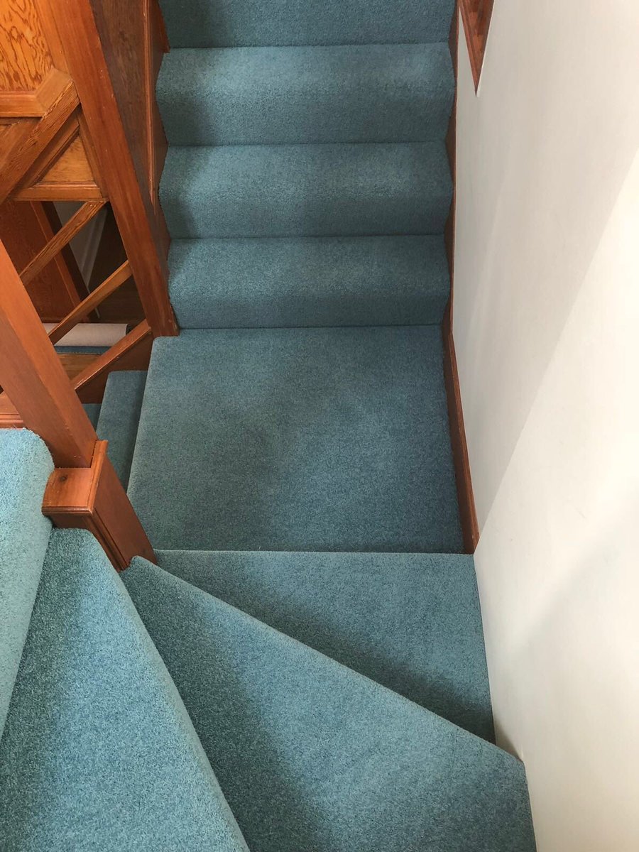 Adam Carpets tweet media