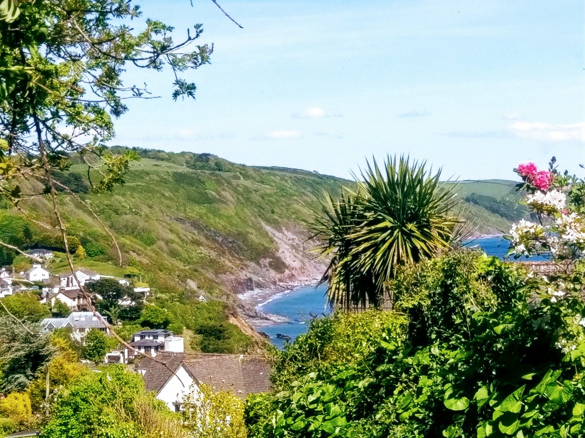 ☀🌴Jenny Henderson 🎶 tweet media