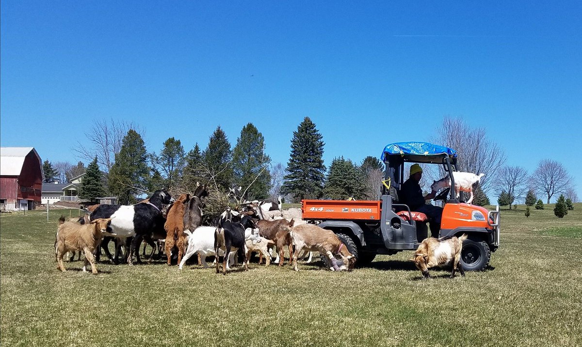 As a goat I want a reliable delivery system so that when it's time to release the latest version to our customers, everyone has the same, awesome experience.

Pic by @JodyJunebug_64