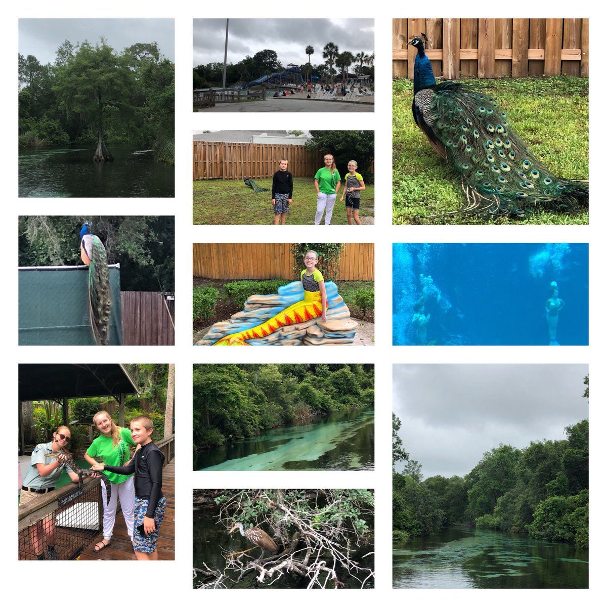Pug23M's tweet photo. Great time @WeekiWacheeSpgs today with @Lecanto_Middle 6th grade! Thankful the weather improved!#WeAreLMS https://t.co/W7VYGR48VN