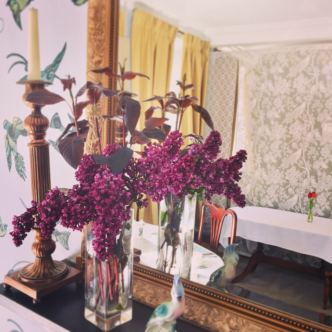 oldcrofthouse's tweet photo. It's bloomin' marvellous in #kirkbystephen #cumbria #lilac #treepeony #bluebells #scratchandsniff #freshflowersfromthegarden #thankyou #cumbriaweather #lotsofsunshine #littlebitofrain #mothernature #muchbetteratlookingafterguests #notagreenfingerinsight #gardening #notourforte https://t.co/otltuTeNMN