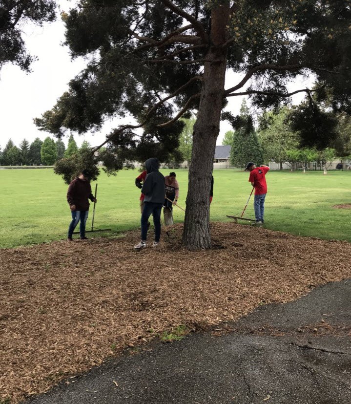 JulieFogerson's tweet photo. #WFvolunteers giving time to Ustick @CityOfBoise park beautification project rain or shine! #LIVBoise #EnergizeOurNeighborhoods #NeighborhoodLIFT #LIFTtheBlock https://t.co/6HD8G8Evlr