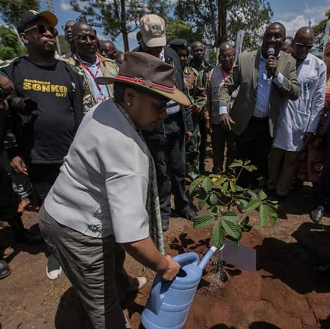 CLEANUPKENYADAY's tweet photo. #WhereWas @KCBGroup @Barclays_Kenya @KenyaAirways @KeEquityBank @nicbankkenya @Coopbankenya during National Tree Planting day? #PandaMitiPendaKenya retweet beginning with #WhereWas and tag a company you know. https://t.co/qoyUI8N4OU