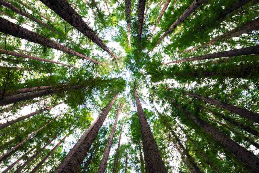 tecmaferia's tweet photo. .#FSMS 2018 se consolida como la principal cita para empresas, organizaciones y expertos en gestión #ambiental, #innovación #economíacircular  e #innovación https://t.co/xuaPwaISuh https://t.co/I1RYRbkgTo