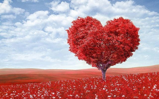 DailyDiscounts4's tweet photo. Cute ❤ https://t.co/g7rbZgXlbx