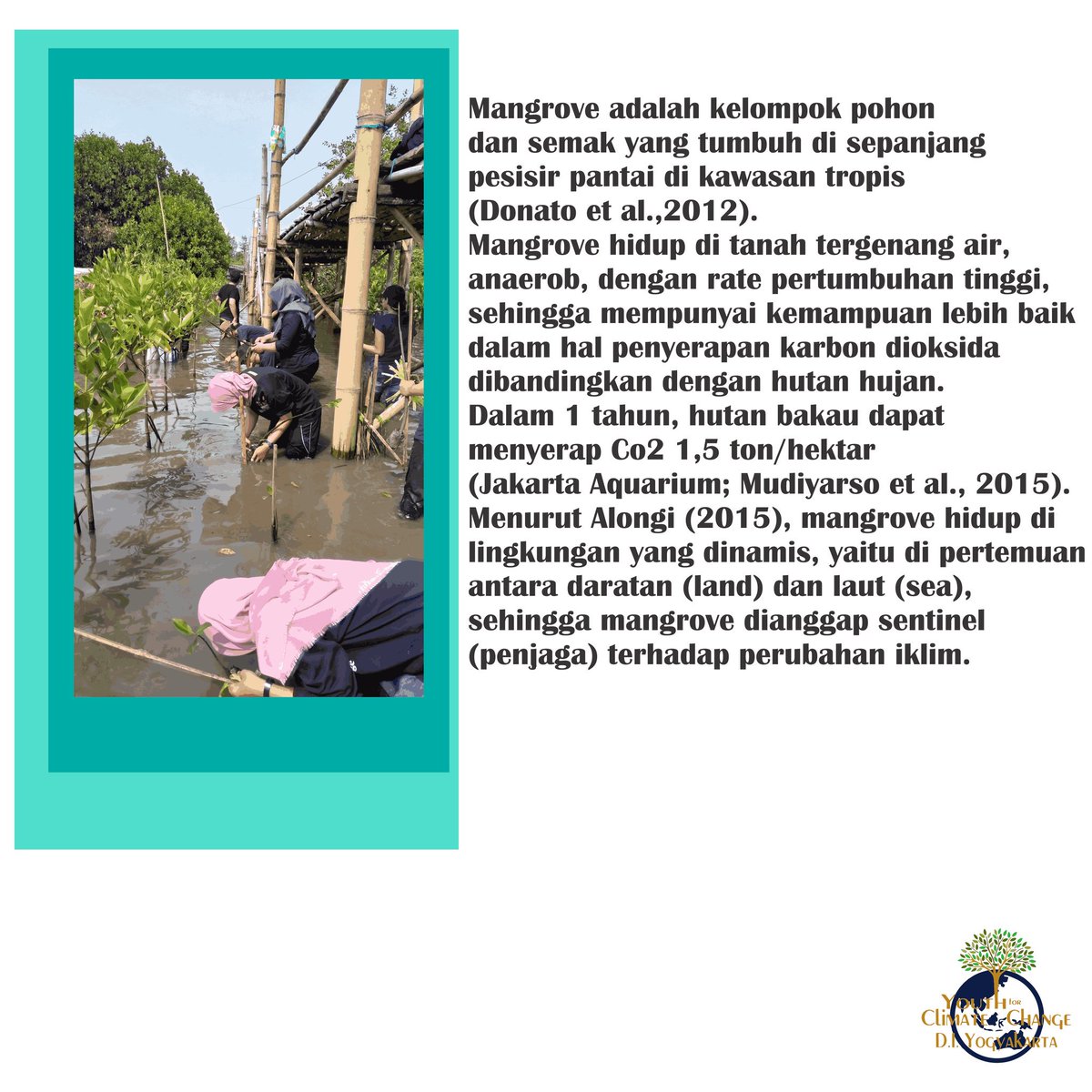YFCC D.I. Yogyakarta tweet media