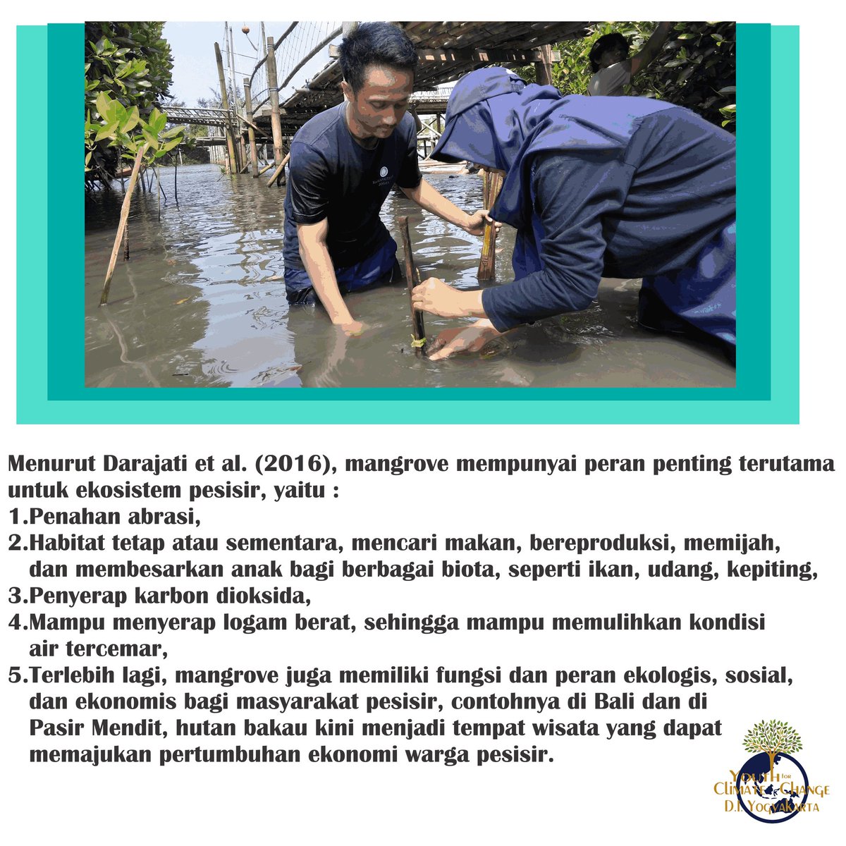 YFCC D.I. Yogyakarta tweet media