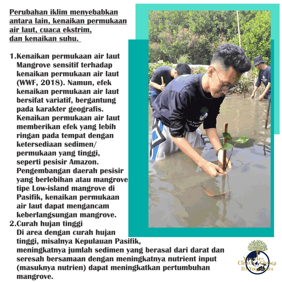 YFCC D.I. Yogyakarta tweet media