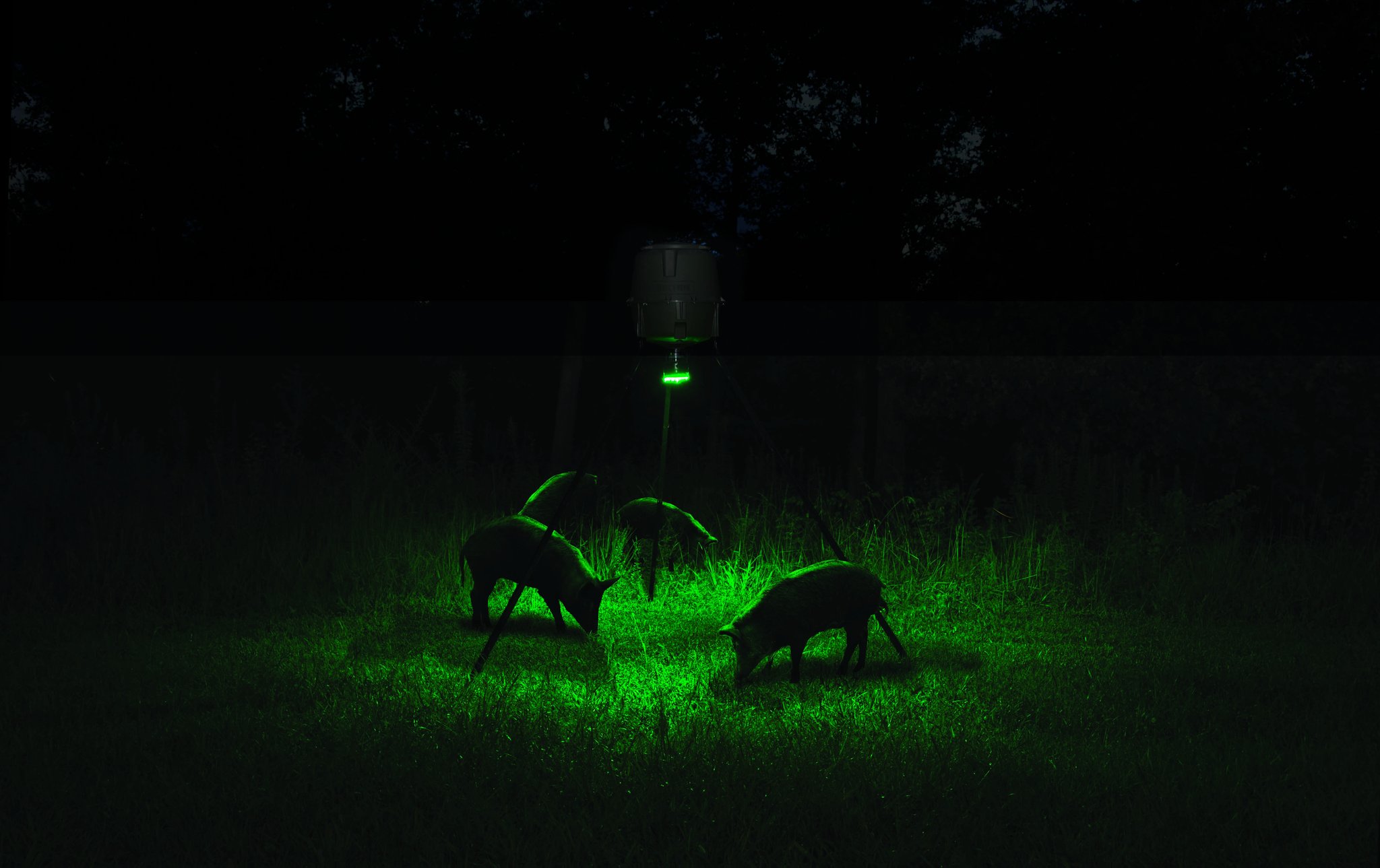 Moultrie Products On Twitter Light Up The Hogs Attach A