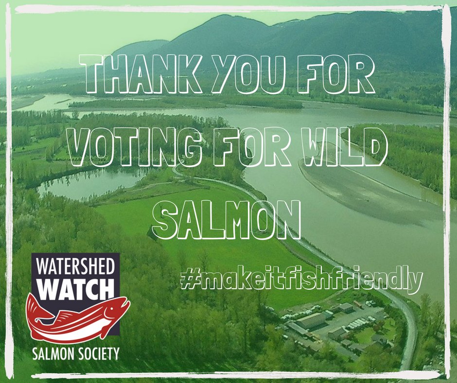 WatershedWatch_'s tweet photo. A huge thank you to lower mainland mayors and councils who voted for wild salmon and their habitats on Friday at #LMLGA. https://t.co/XaWywT1B1N #makeitfishfriendly #Fraser #Fraserriver #flood https://t.co/ZHwUxonPES