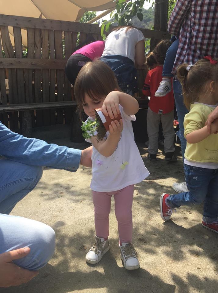 EleStroscio's tweet photo. #farmlife #lovemylittlegirl https://t.co/TTwSyxahfH