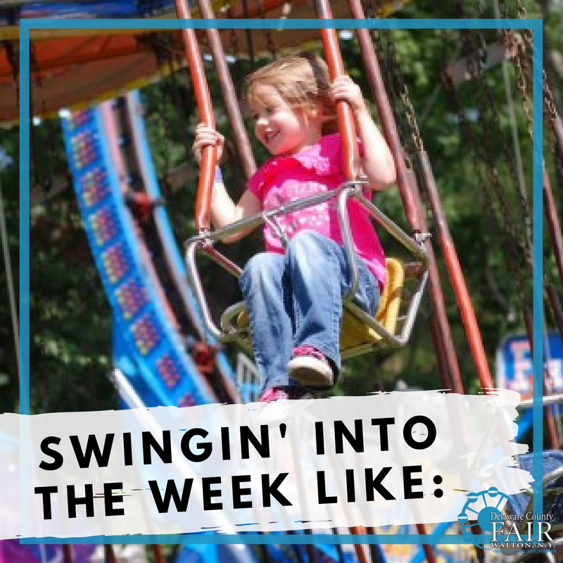 Delaware County Fair tweet media