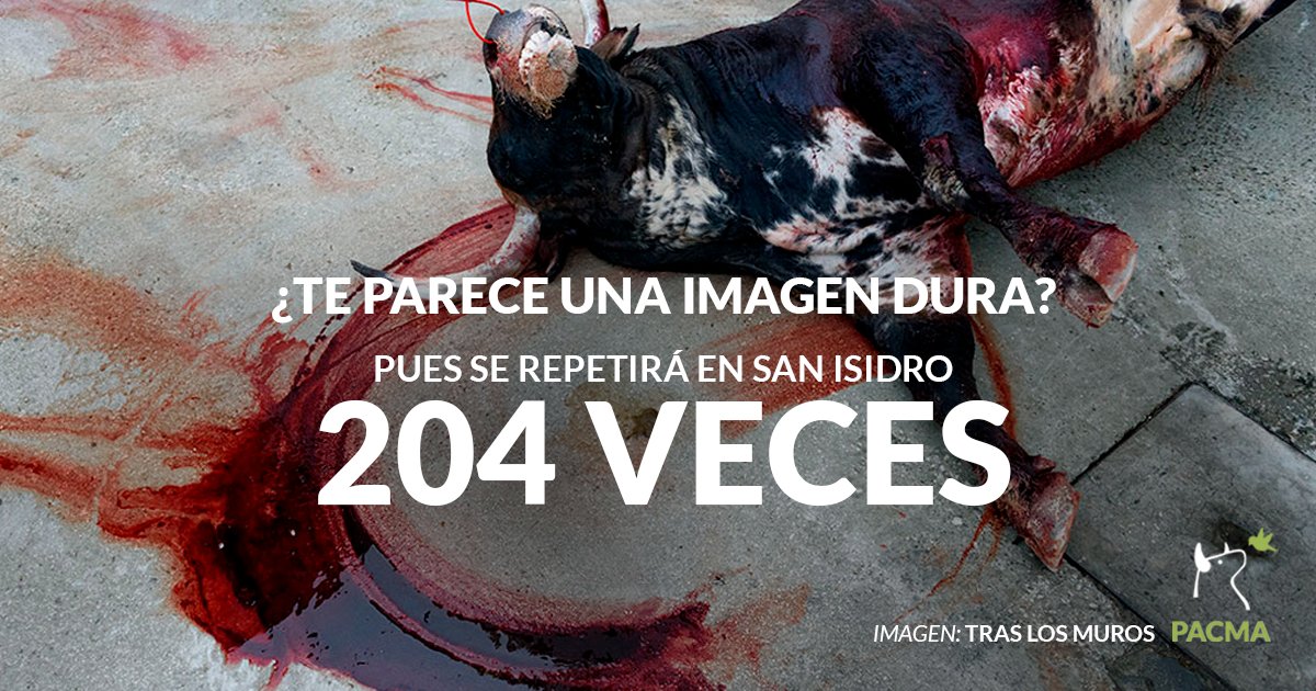 PartidoPACMA's tweet photo. 📸 Esta imagen se repite 204 veces en San Isidro. 😢 ¡Por todos ellos seguiremos luchando! 💪 https://t.co/O0B3WE2kvg