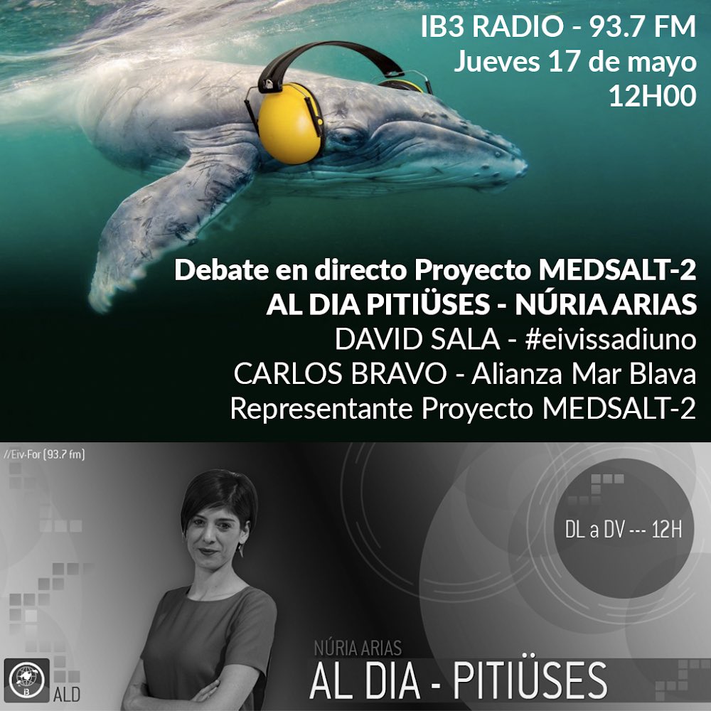 IbizaDiceNo's tweet photo. Este jueves 17 a la 12h en directo en 📻 IB3 Radio Al Dia Pitiüses IB3 presentado por Nuria Arias. DEBATE: David Sala (#eivissadiuno), Carlos Bravo (Alianza Mar Blava) y un representante del proyecto MEDSALT2.
#CienciaSinConienciaNO 🛑 #StopMedsalt2 @MedSalt @AlianzaMarBlava https://t.co/ZJxgStdLPc