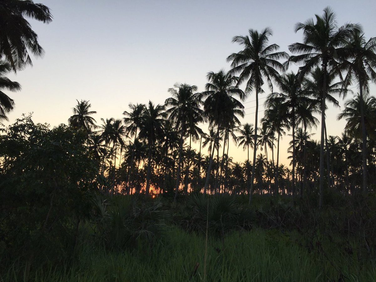 agrisolos's tweet photo. #sunset #africansunset #Mozambique https://t.co/yyrbtXR9Jn