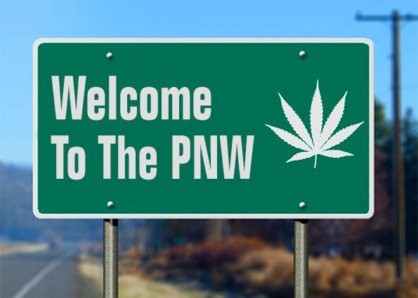 GrowNovaGreen's tweet photo. We are proud and excited to announce that the entire NovaGreen product line is fully registered and available for sale in the state of Oregon as well as Washington! 

Contact your local grow shop today to request our premium line of 14 products! https://t.co/bXkmcsdHGy