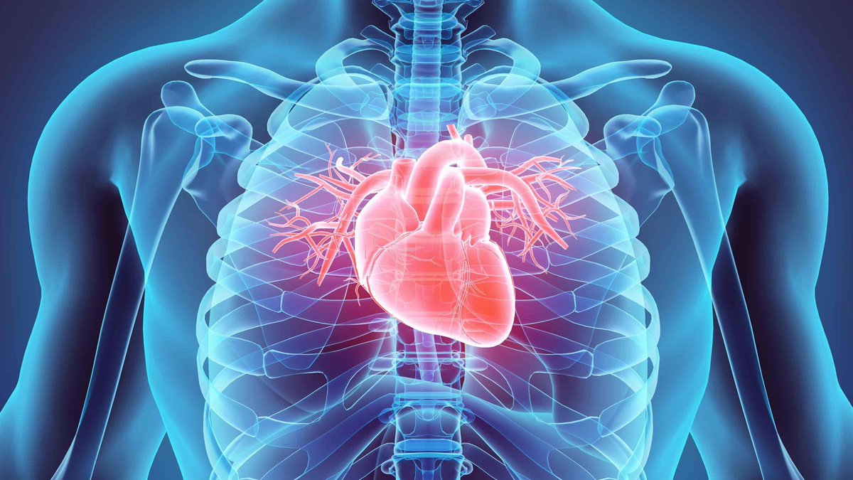 DrNealesOffice's tweet photo. Having poor oral health puts a person at risk for heart disease. If the gums are inflamed due to the bacteria that causes periodontal disease, that same bacteria can actually get into the bloodstream causing the arteries to build up plaque and harden. #StopCardiovascularDisease https://t.co/q3GZjXKPzg