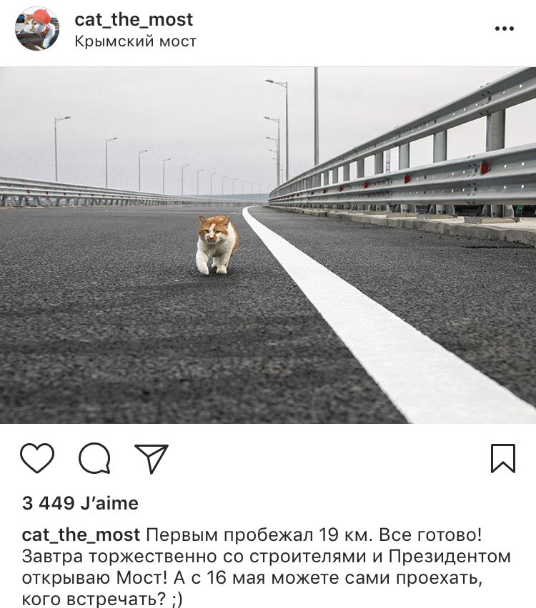 GEGAsieSepten's tweet photo. C’est demain 15 mai qu’aura lieu l’inauguration du pont de Crimée en présence de Vladimir Poutine. Annonce du Kremlin, et... de la mascotte #Mostik sur Instagram. Ouverture des voies routières après-demain le 16 https://t.co/LGjs61aXer