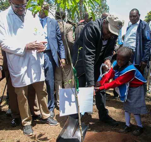 CLEANUPKENYADAY's tweet photo. #WhereWas @RailaOdinga @skmusyoka @DrAlfredMutua @Wetangulam @MusaliaMudavadi during the National Tree Planting day? #PandaMitiPendaKenya retweet or share beginning with #WhereWas and tag a company or individual you know. https://t.co/mP1FC8hmY4