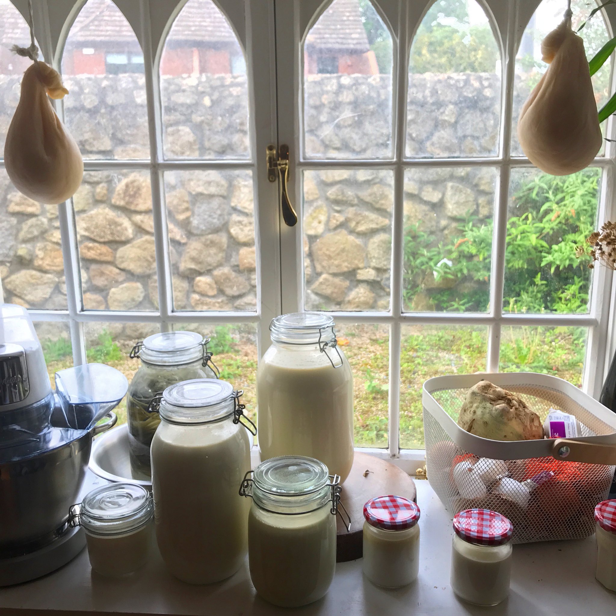 Bill Schindler on Twitter "Raw milk clabbering and cream culturing in