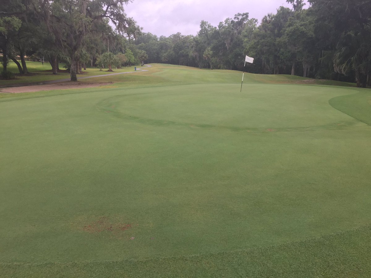 JamesDarby75's tweet photo. With @matteich3. Using Algaegreen granular to help heal vandalism and some chronic weak areas.  Quick turf recovery and look at the color.
@EwingIrrigation @CitarellaWill @algaeGreen_OGT East Lake Woodlands looks spectacular, thanks for the tour Matt! https://t.co/HDATHn5bXn