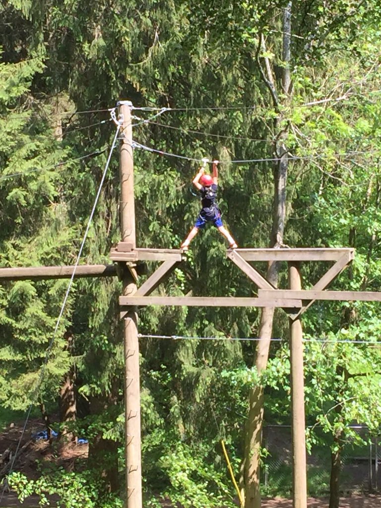 fulham_school's tweet photo. Aerial trekkers showing nerves of steel! 💪🏼 #fpsyear4 https://t.co/DdtOqug4xa