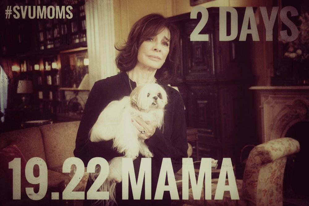 SVU_ChicagoFans's tweet photo. The wait is almost over
#SVU #Season19Episode22 #Mama #SVUMoms #MomsOfSVU
@AllyIntrieri https://t.co/ohsm4xFSCv