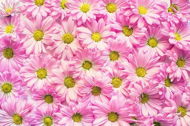 DailyDiscounts4's tweet photo. Who else's favourite colour is pink ? 💖 https://t.co/ZkQnOh2yFE