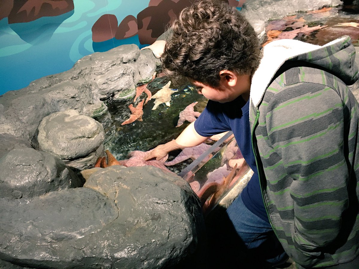 gjpeter87's tweet photo. Thank you @shedd_aquarium for an awesome educational fun filled day! https://t.co/Ihw5hN9mBj