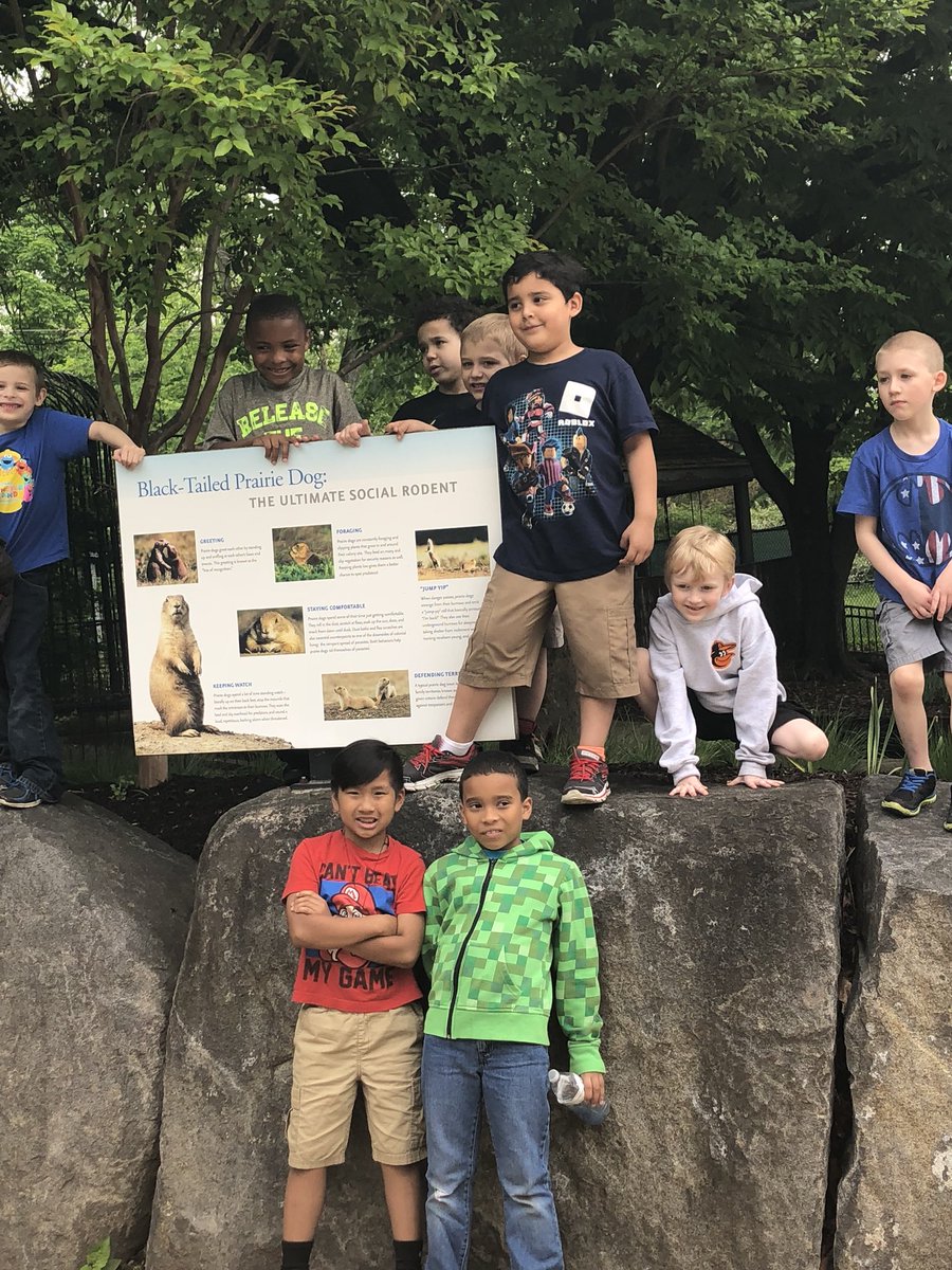 MrsWaurin's tweet photo. Ss had fun on our zoo trip! After our “Creature Features” science unit, we were excited to see animal defense mechanisms, unique adaptations and auditory/visual communication in person!  @VictoryVillaes https://t.co/0NZ3q7JKp3