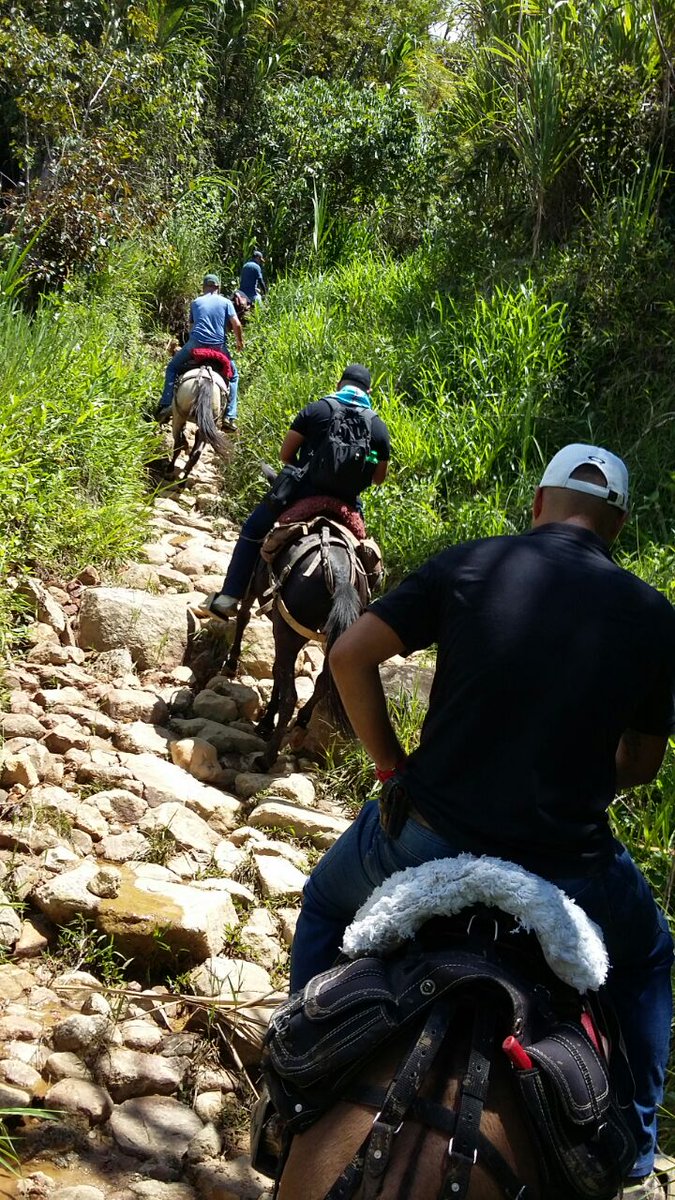 JohanAlcalde's tweet photo. Camino a la vereda Media Cuesta para compartir con sus habitantes, misión: ser una alcalde por la gente y para la gente #CocornáFlorece https://t.co/FBdgODO0Ju